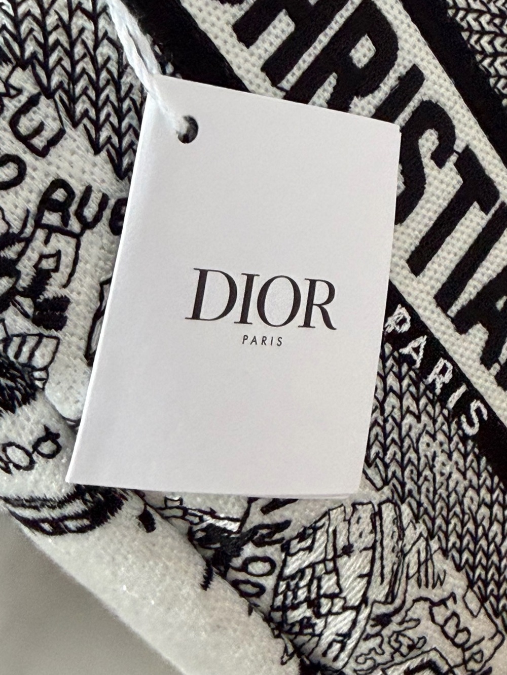 New Dior Plan de Paris Canvas Embroidered Cosmetic Bag - Picture 8 of 13